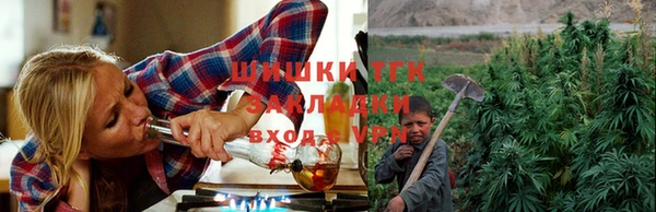 молекула духа Алзамай