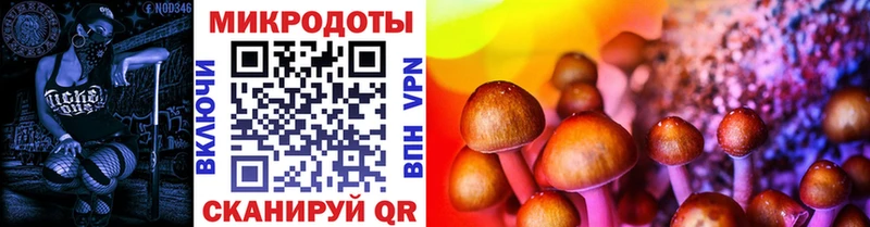 купить наркотики цена  Сельцо  Галлюциногенные грибы Psilocybe 
