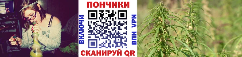 Канабис White Widow  где купить наркотик  МЕГА сайт  Сельцо 